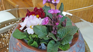 Blumenschale kupferfarben - Accessoires Deko für innen und außen